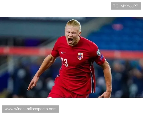 多特蒙德—哈兰德门前抢点补射成功